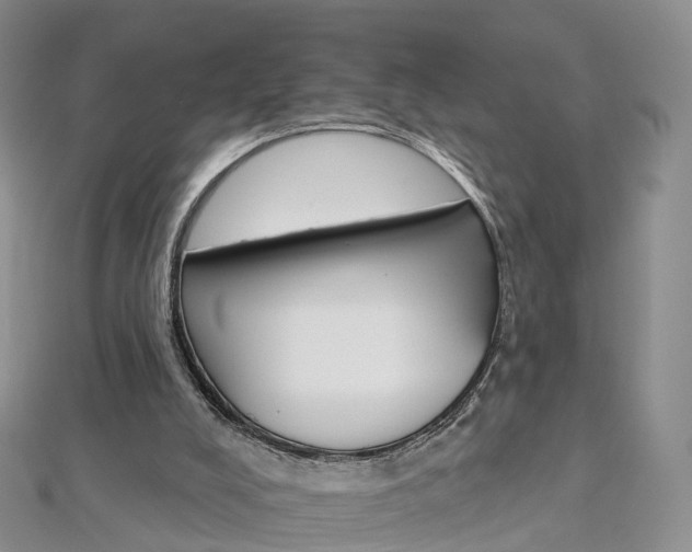 X0000112930008200908241104