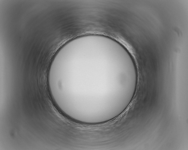 X0000112930009200908241104