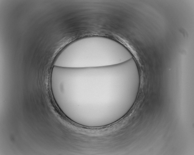 X0000112930010200908241104