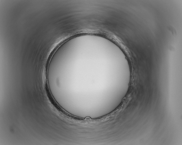 X0000112930011200908241104