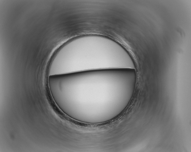 X0000112930012200908241104