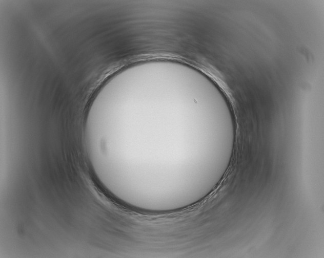 X0000112930013200908241104