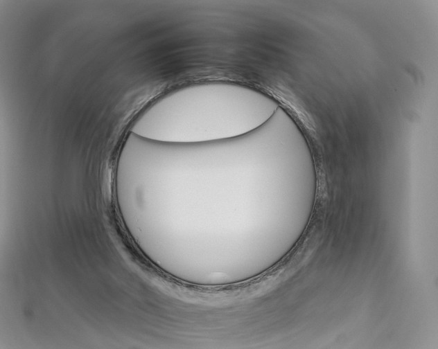 X0000112930014200908241104