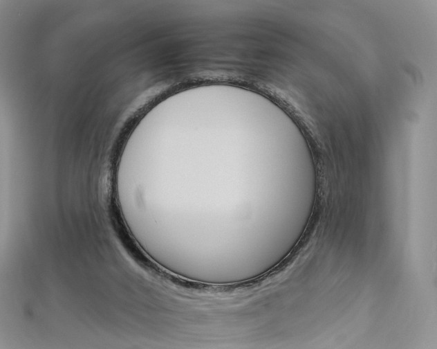 X0000112930016200908241104
