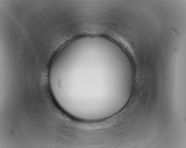 X0000112930017200908241104