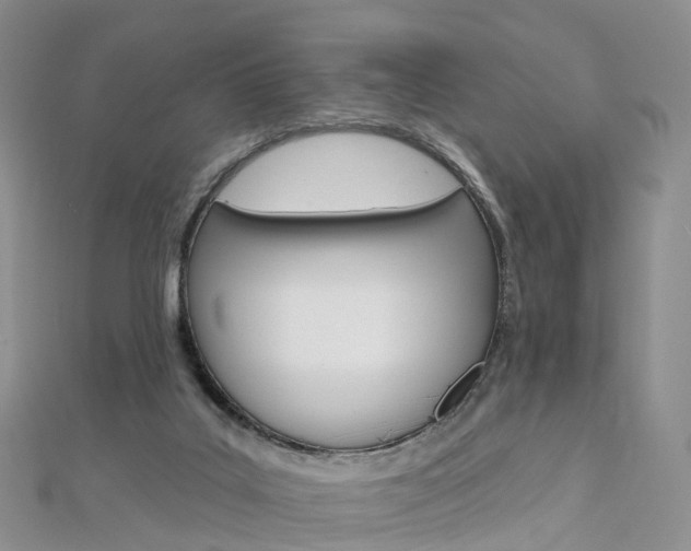 X0000112930019200908241104