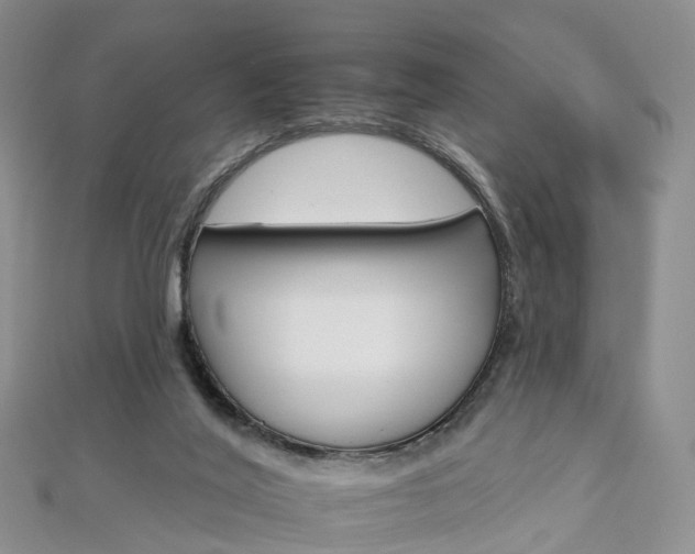 X0000112930020200908241104
