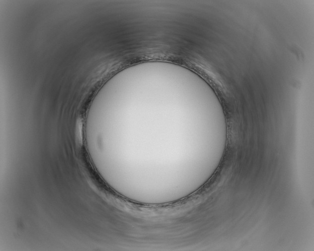 X0000112930022200908241104