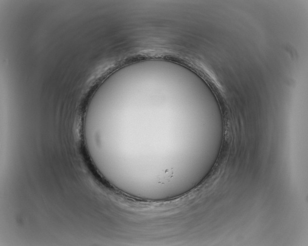 X0000112930023200908241104