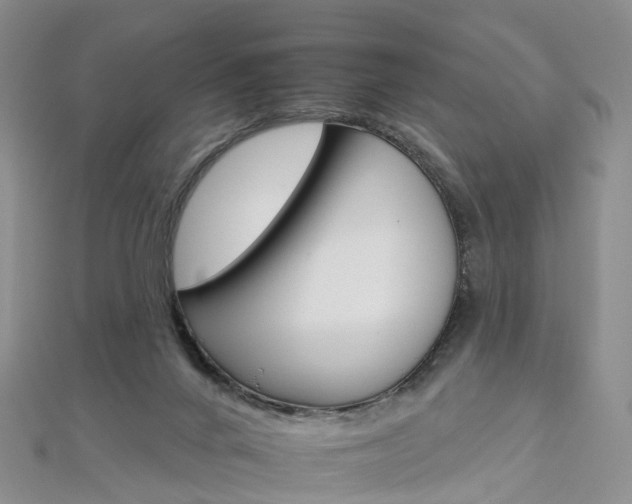 X0000112930024200908241104