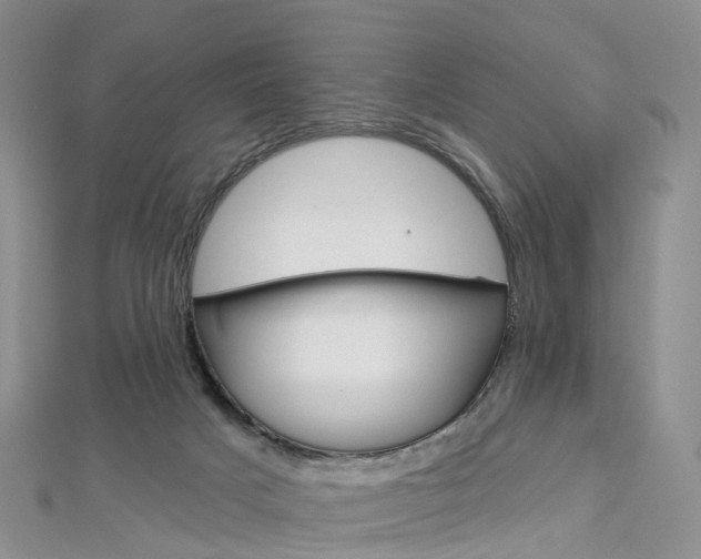 X0000112930025200908241104