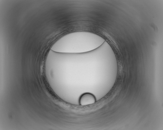 X0000112930026200908241104