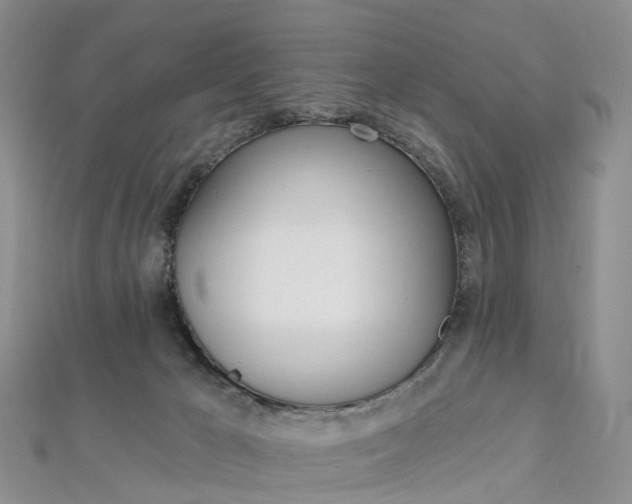 X0000112930029200908241104