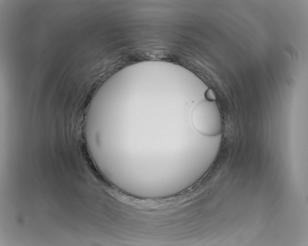 X0000112930030200908241104
