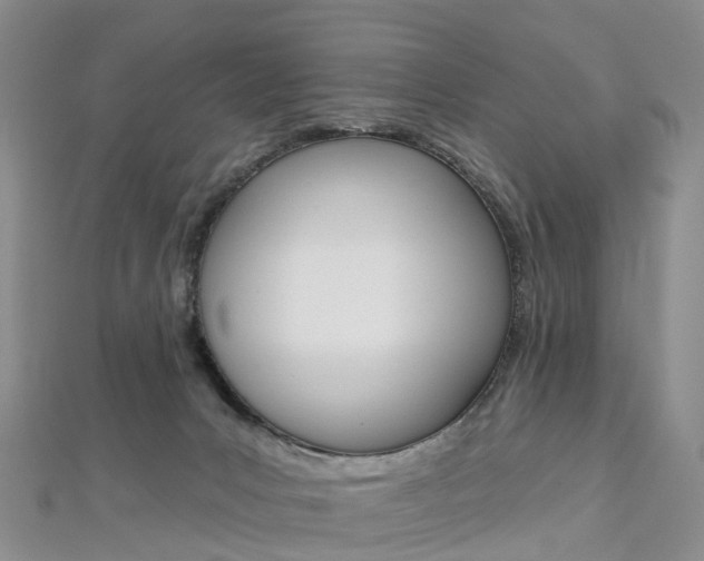 X0000112930031200908241104