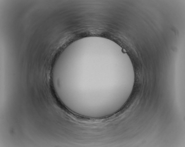 X0000112930032200908241104