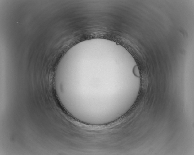 X0000112930034200908241104