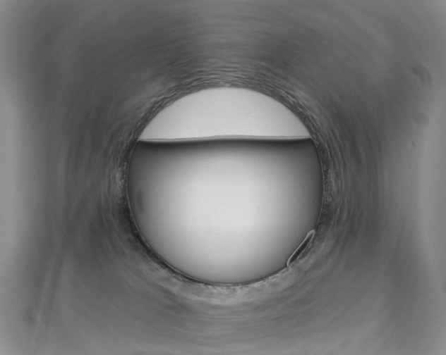 X0000112930037200908241104