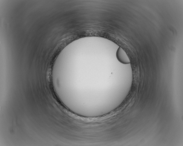 X0000112930038200908241104