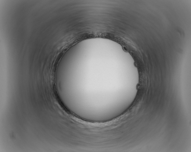 X0000112930039200908241104