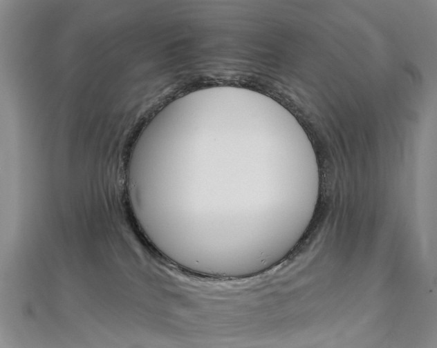 X0000112930040200908241104