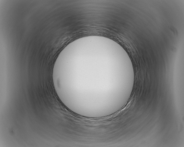 X0000112930041200908241104