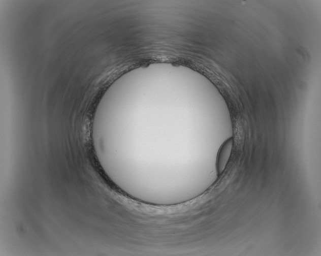X0000112930043200908241104