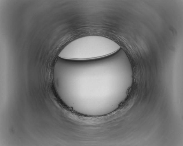 X0000112930044200908241104