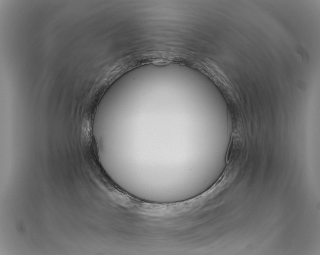 X0000112930045200908241104