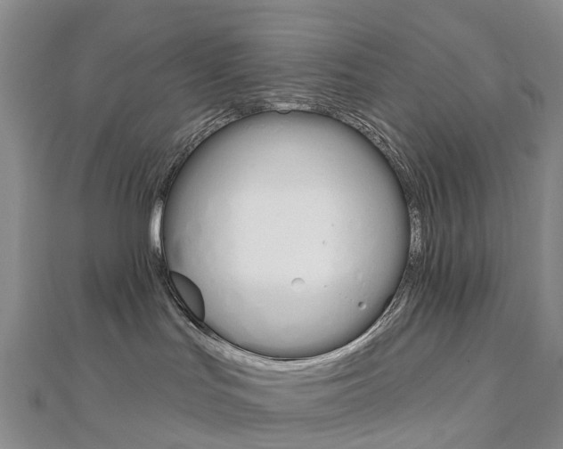 X0000112930047200908241104
