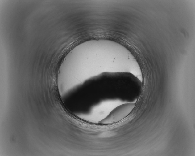 X0000112930048200908241104