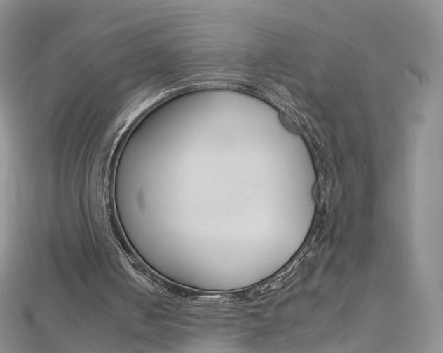 X0000112930050200908241103
