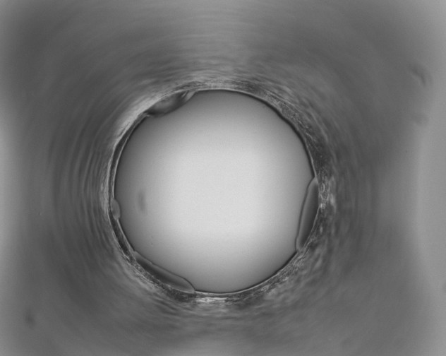 X0000112930052200908241103
