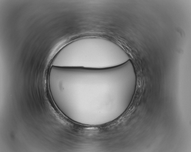 X0000112930053200908241103