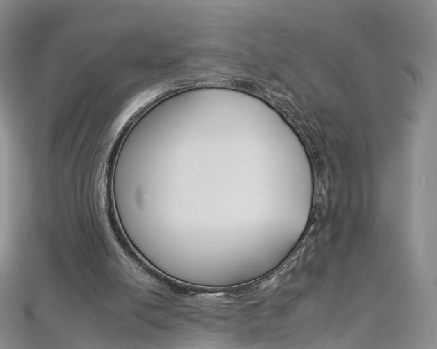 X0000112930054200908241103