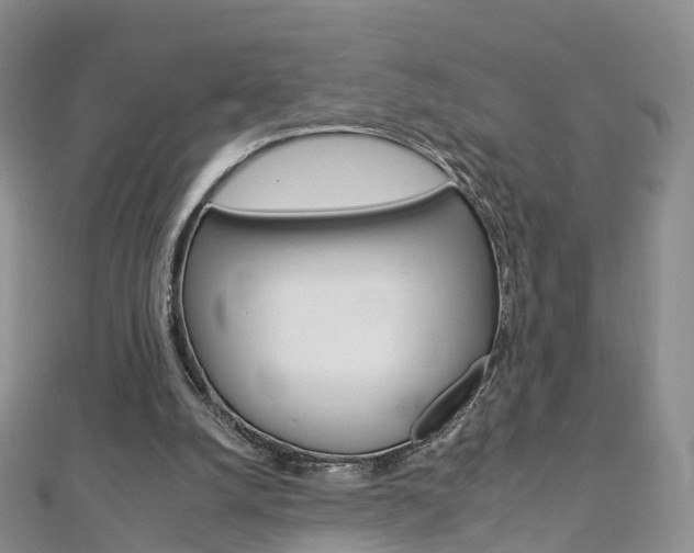 X0000112930056200908241103