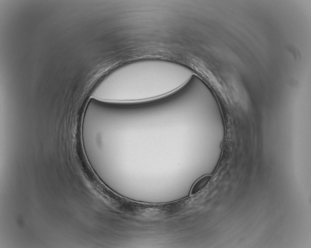 X0000112930058200908241103