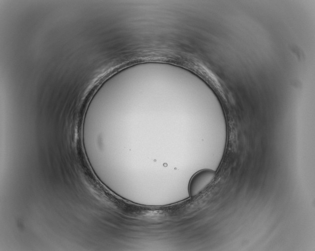 X0000112930059200908241103