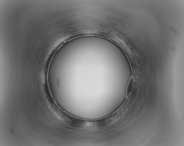 X0000112930060200908241103