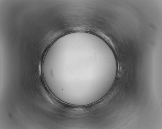 X0000112930061200908241103