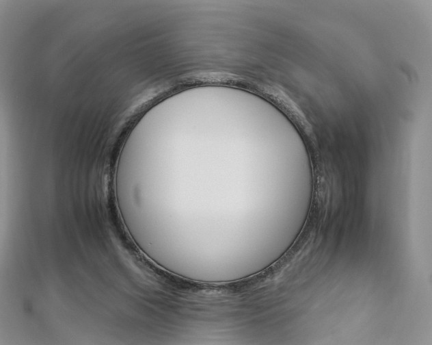 X0000112930063200908241103