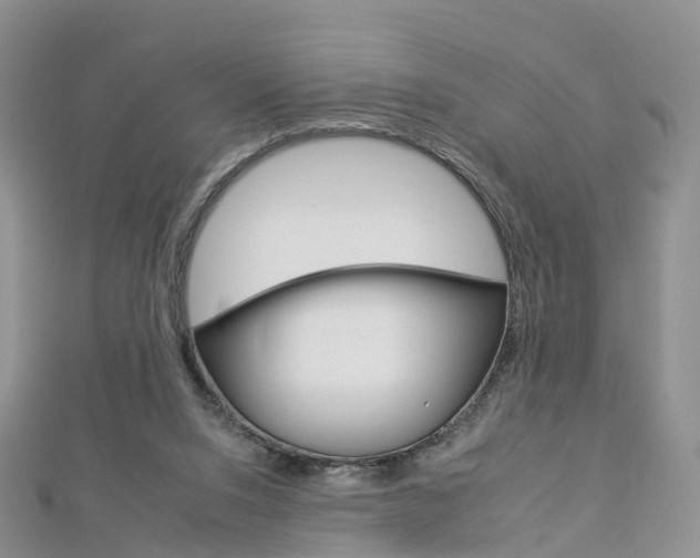X0000112930064200908241103