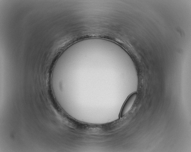 X0000112930066200908241103