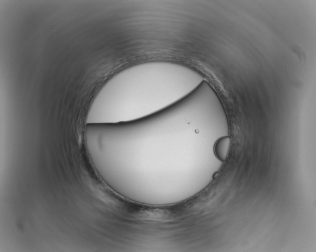 X0000112930069200908241103