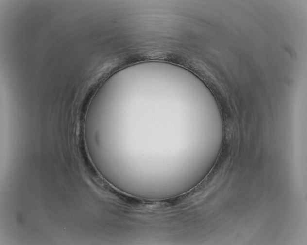 X0000112930072200908241103