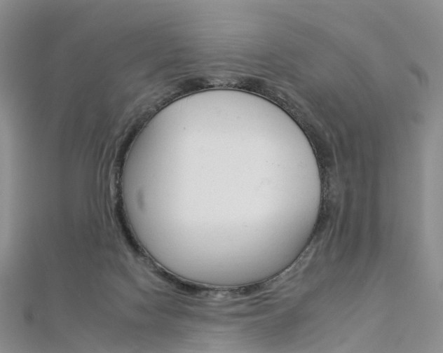 X0000112930074200908241103