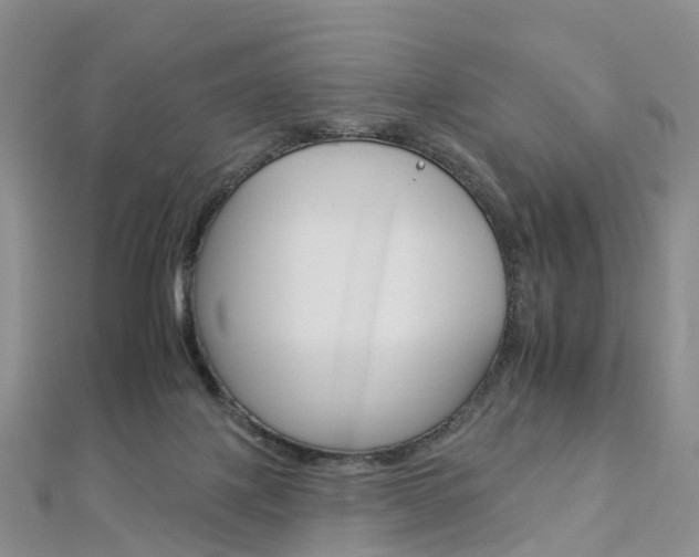 X0000112930075200908241103