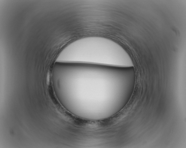 X0000112930076200908241103