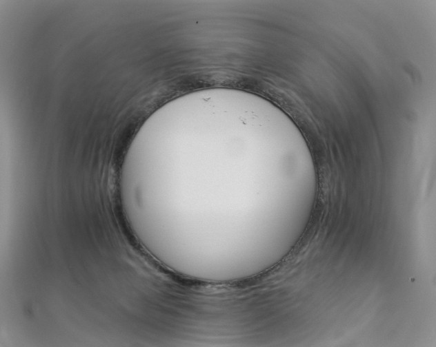 X0000112930077200908241103