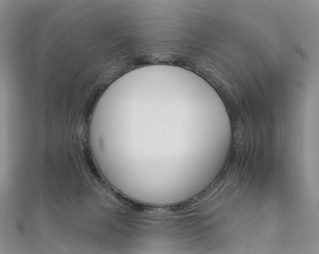 X0000112930079200908241103